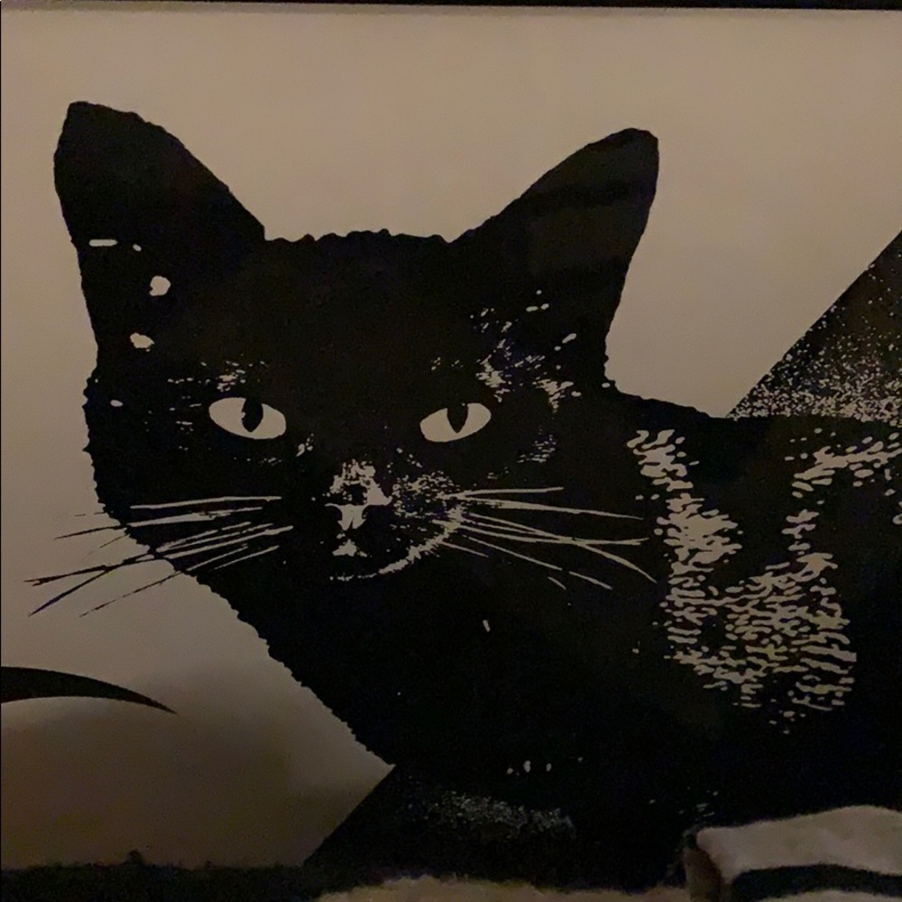 Meet your Posher, Illana